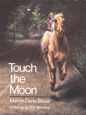 cover image of Touch the Moon